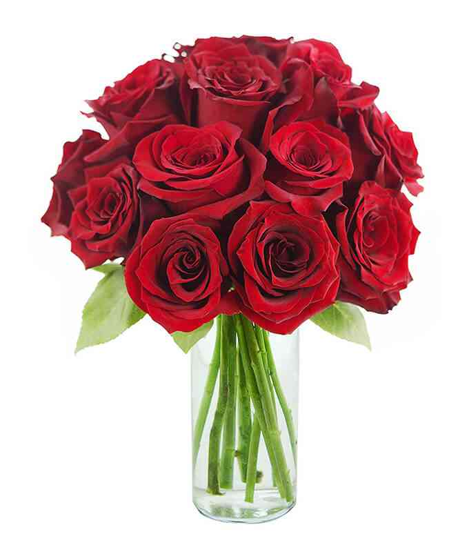 Red-roses-bunch